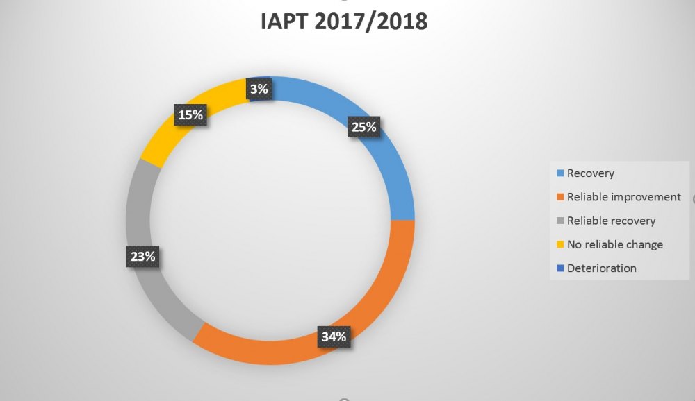 IAPT2017-2018.jpg