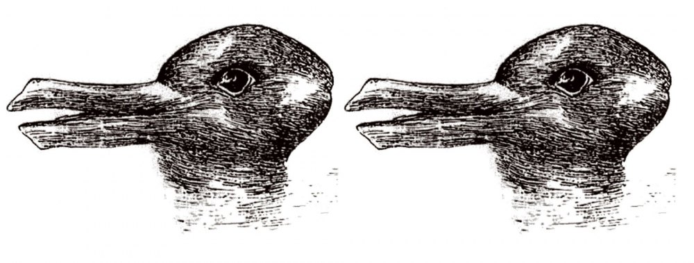 duck or rabbit.jpg