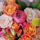 FlowerPower